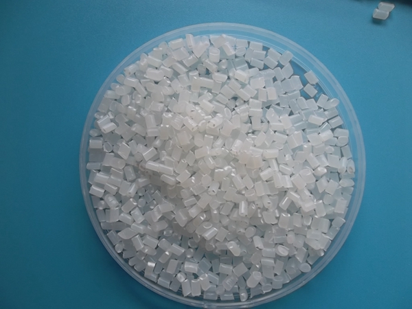 SAM_1309_副本.jpg SAM_1309_副本.jpg