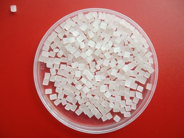 SAM_0573_副本.jpg SAM_0573_副本.jpg