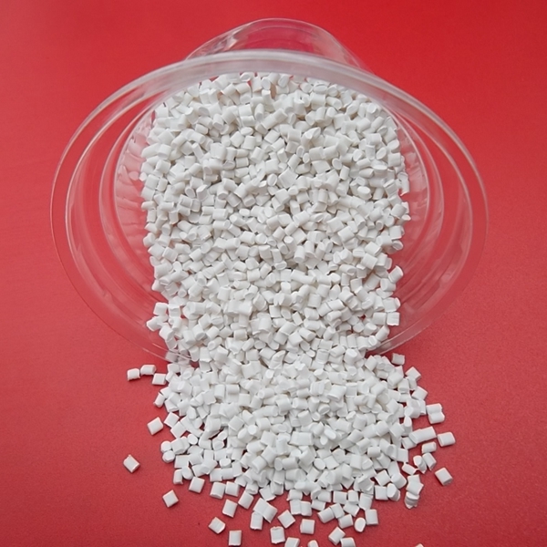 SAM_2240_副本.jpg SAM_2240_副本.jpg