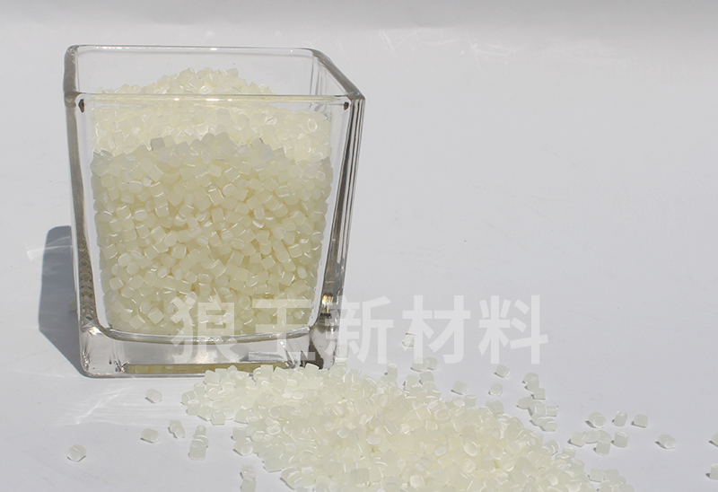 IMG_3184.jpg IMG_3184.jpg