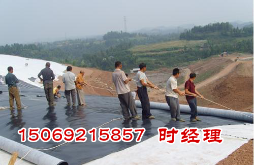 B(yng)ֳhdpeĤBĤ\ݔ