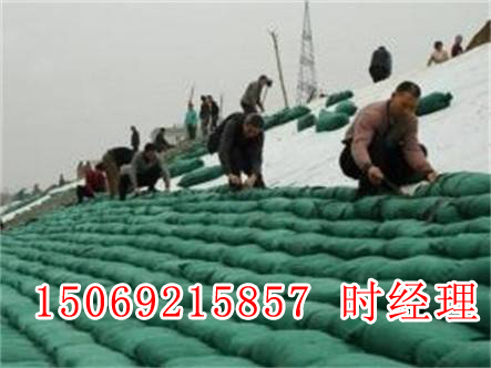 h(hun)B(ti)o´B(ti)ֲI(y)a(chn)S