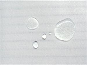 Alyo늷ˮᘴ̚500gVV