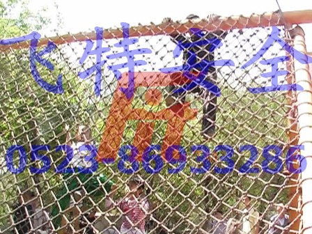 W(wng),ʎrW(wng),ʾW(wng),W(wng)