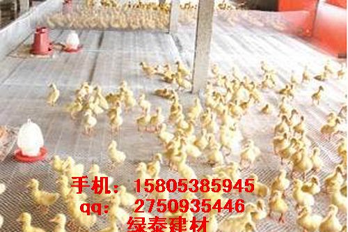 B(yng)ϾW(wng)&uB(yng)ֳW(wng)