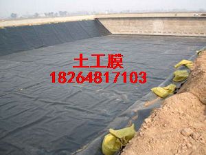 (yng)ˮĤh(hun)ĤHDPEBĤ