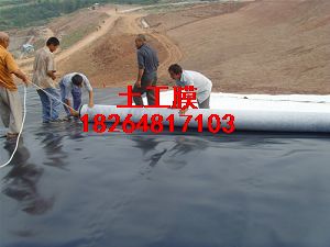 (yng)ͬĤh(hun)ĤHDPEBĤ