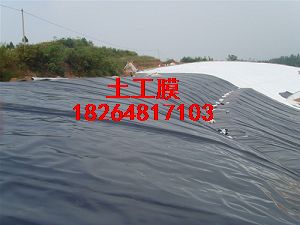 |Ĥ|BĤ|HDPE