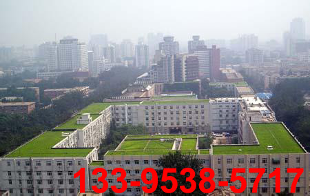 ��ˮ��www.tgmo.com.cn